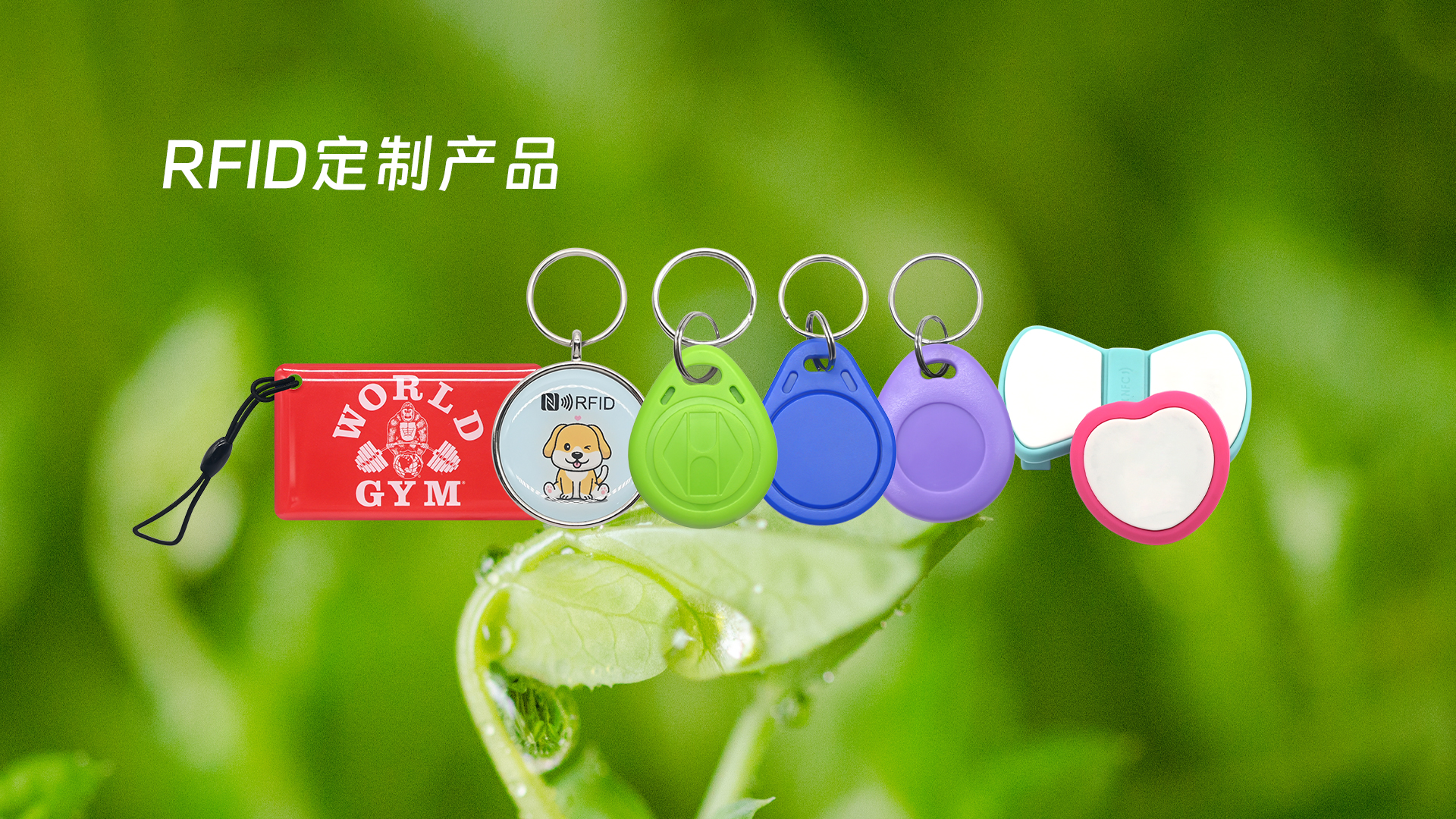 微信图片_20250319113407